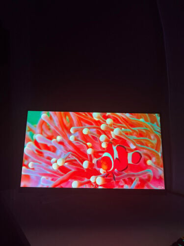 xiaomi monitor 75 hz 