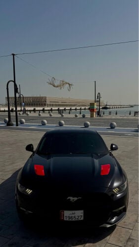 FORD MUSTANG ECO BOOST(GT BODY KIT)