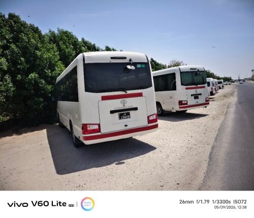 Bus