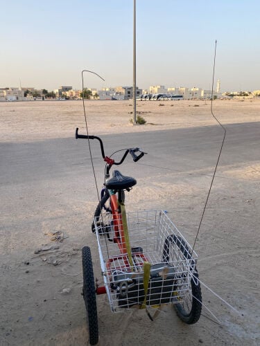 مشعل عبدالرحمن 