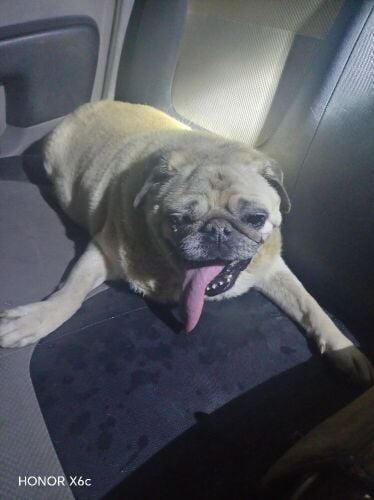pag