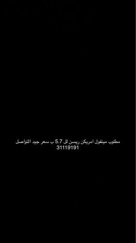 مطلوب مينفول امريكن ريسنق