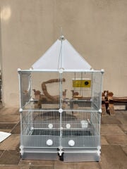 big old bird cage for birds