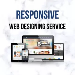 Website Design & Development