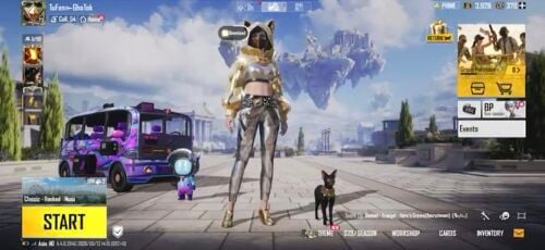 pubg account