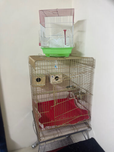 Cage For sale