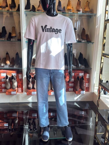 pant shirts + shoe