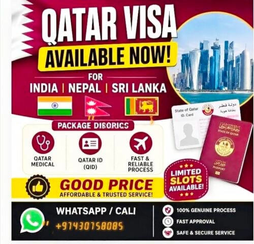 Free visa service