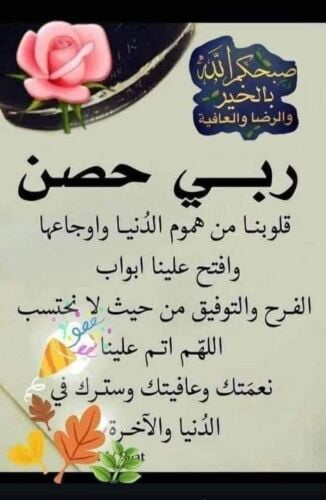 ابحث عن عمل