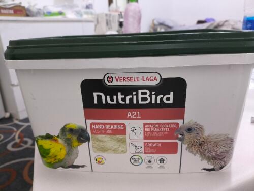 Bird food