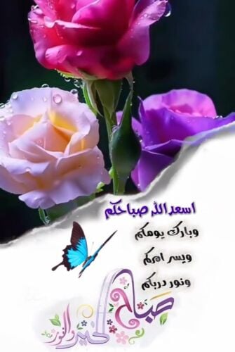 ابحث عن عمل