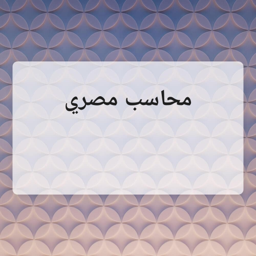 محاسب مصري
