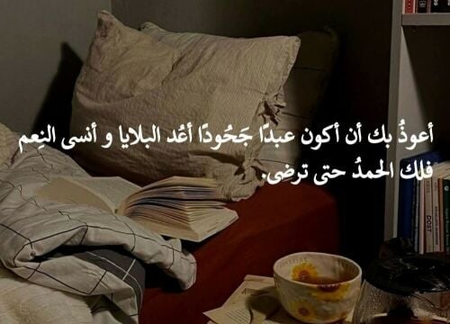 ردينه