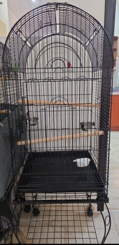 big cage