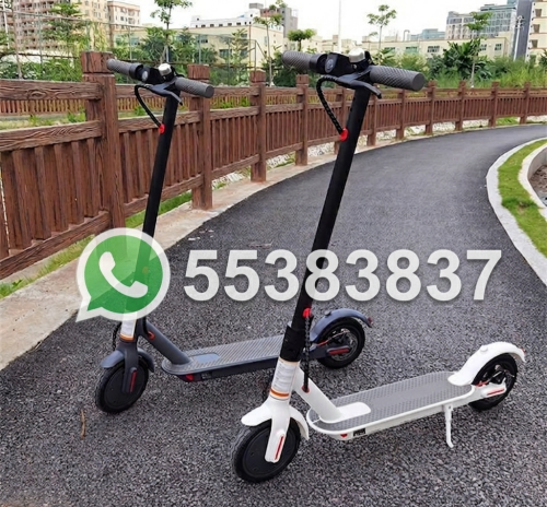 Electric Scooter 48V Foldable
