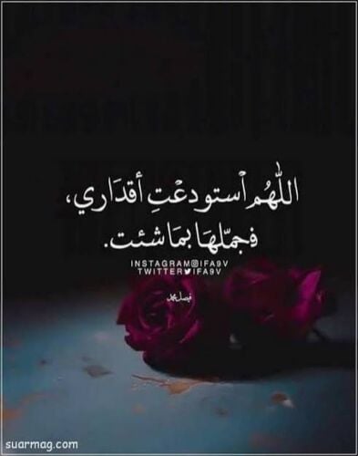 ابحث عن فرصة عمل
