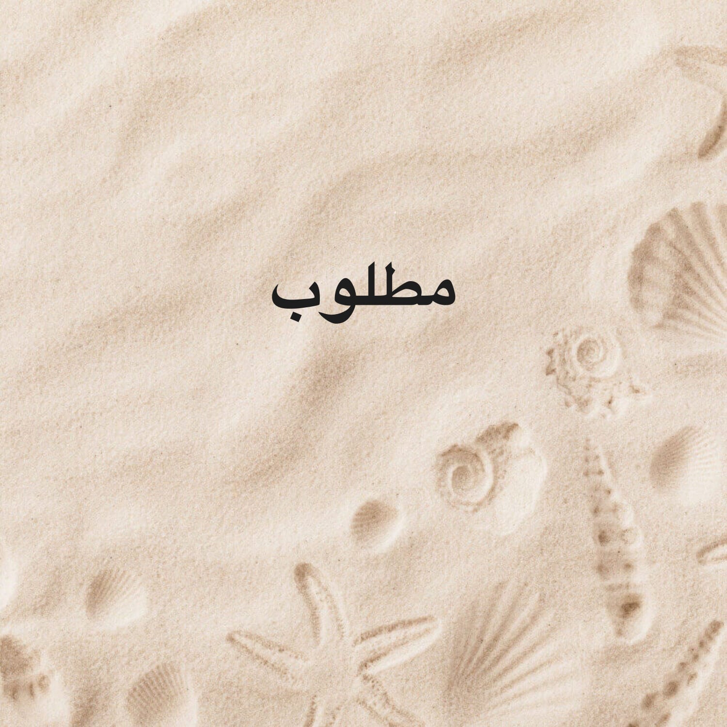 وظيفة 