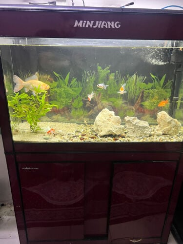 aquarium full set