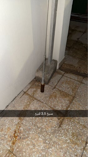 صيخ