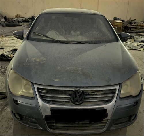 ايوس ٢٠١٠