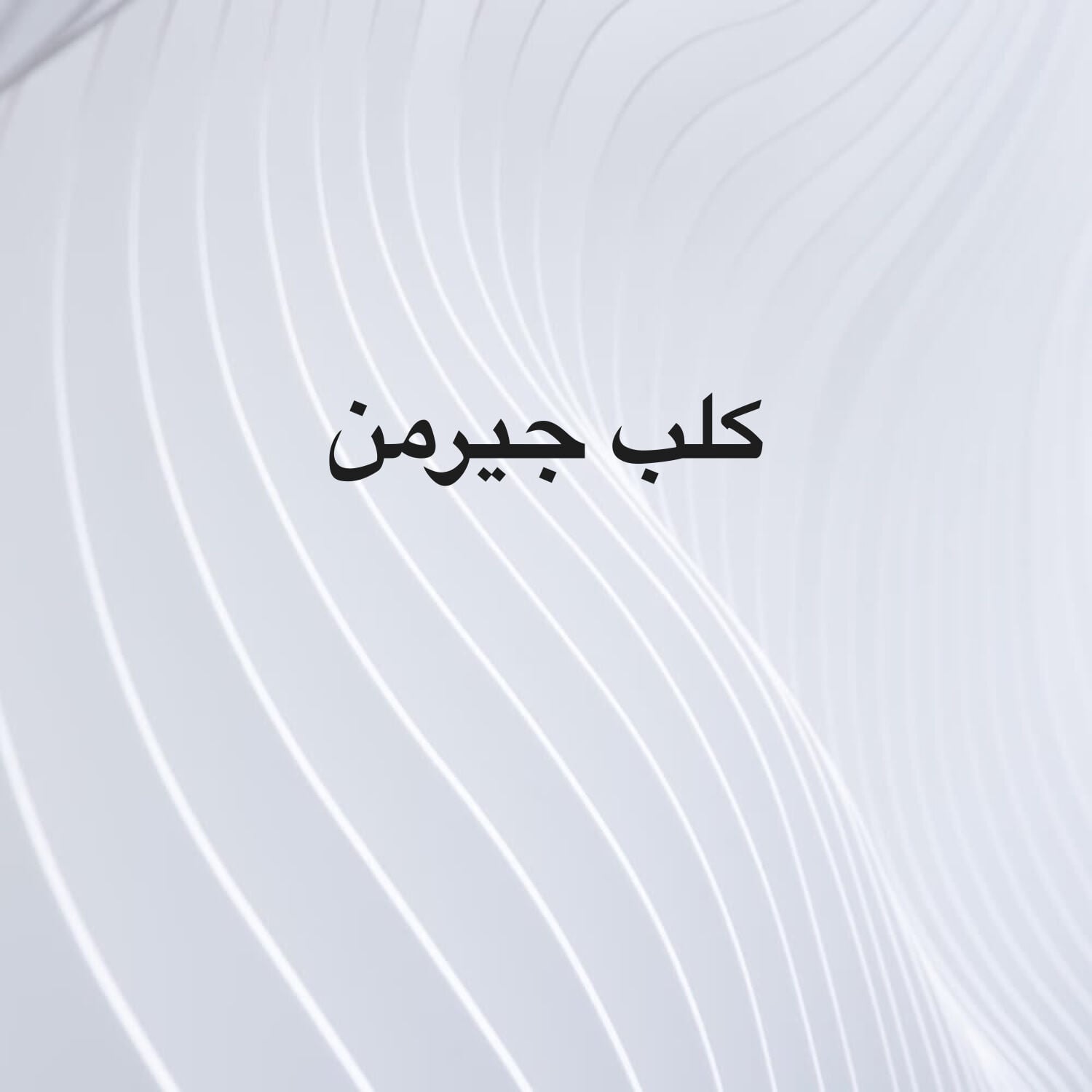 مطلوب كلب جيرمن شيبرد 