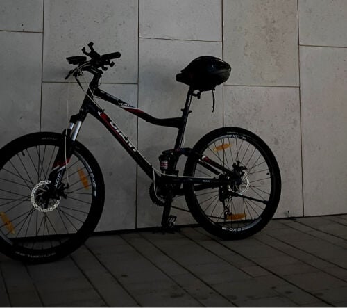 mountain bike (giant)