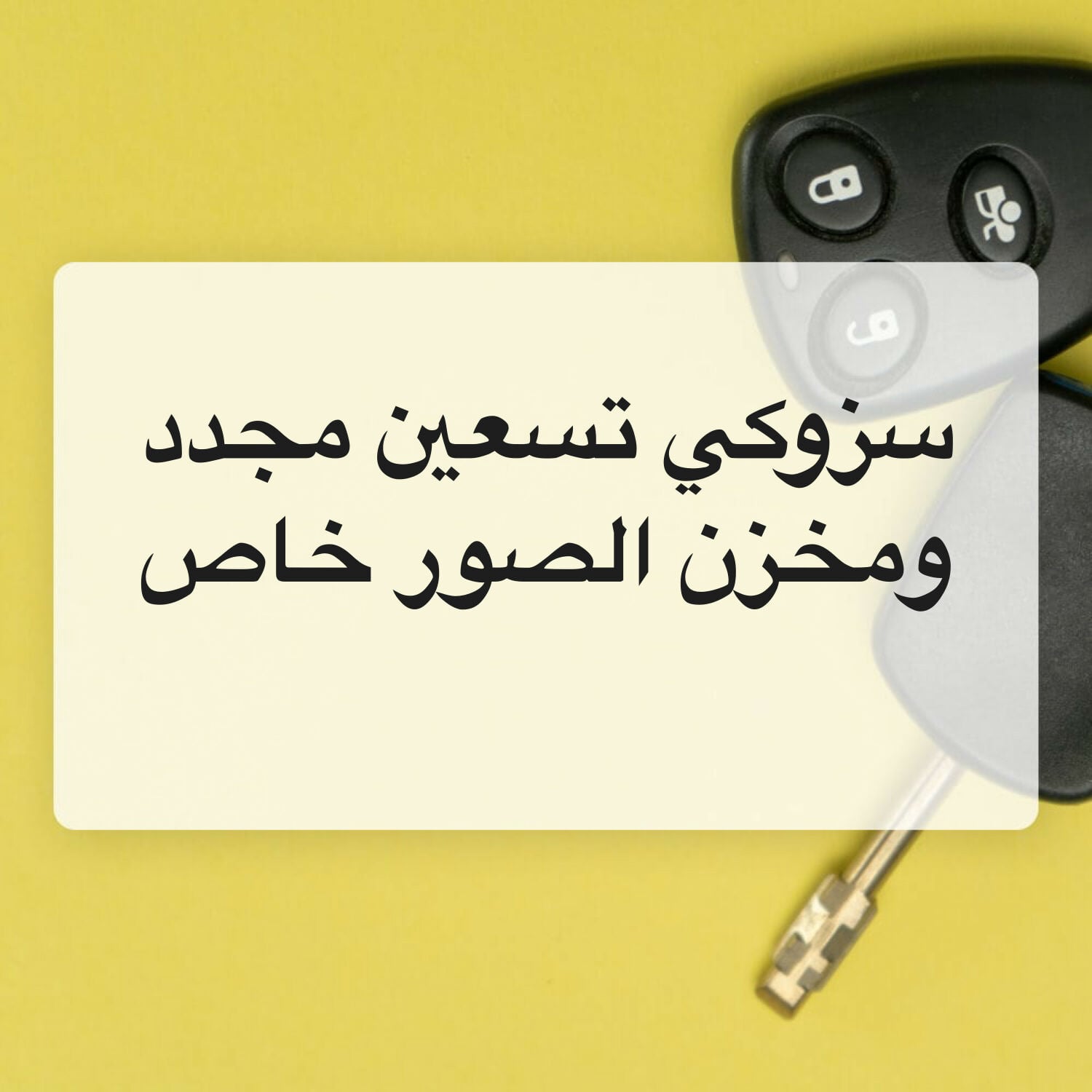 ثاني حمد الرميثي 