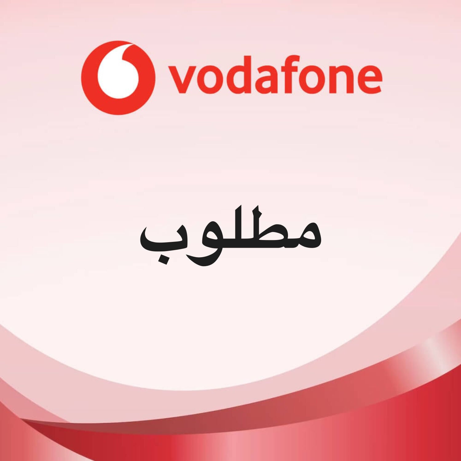 مطلوب ارقام مميزه