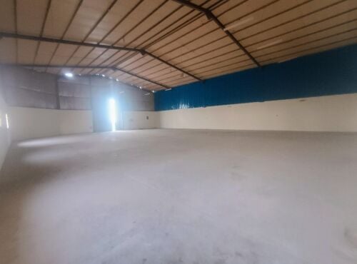 Stores for rent