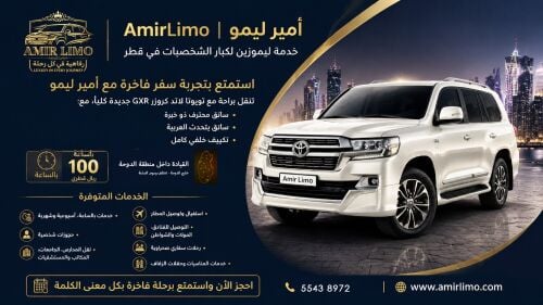 vip Limousine