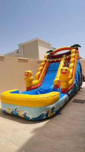 نطاطيات