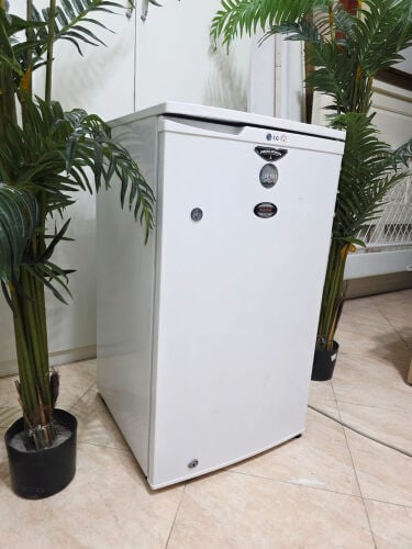 Lg 1 door refrigerators 