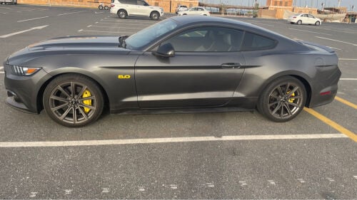 mustang 
