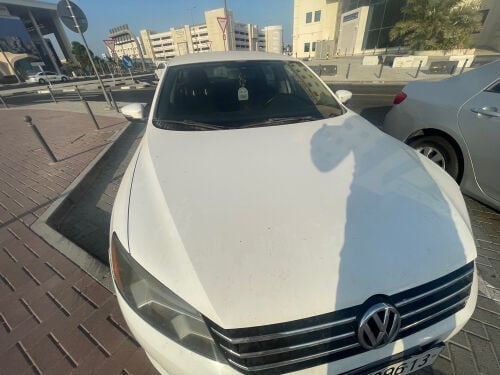 باسات 2014