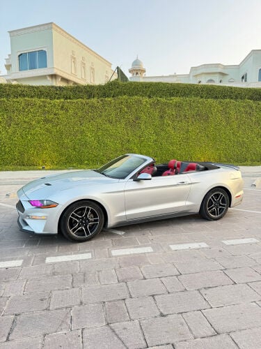 2019 MUSTANG CONVERTIBLE / SWAP
