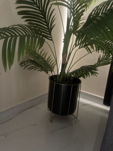 ikea plant and free vase 
