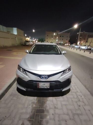 بكري محمود