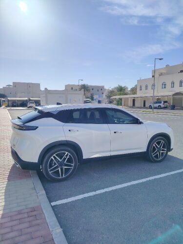 للبيع دونج فينج وكالة