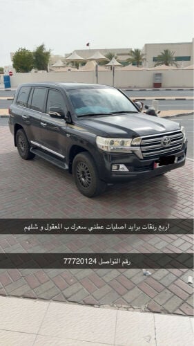  برايد اصليه لا يجي الا الصامل