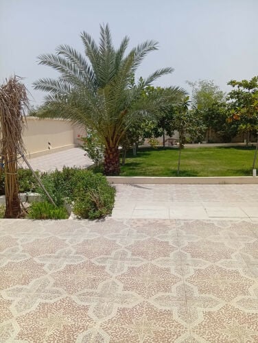 عزبه للتنازل بالخوربشكل منظم راقي