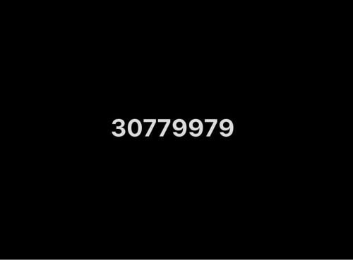 30779979
