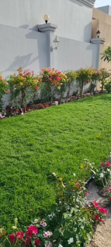 Gardening and landscaping