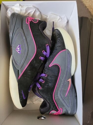 Nike lebron 22 Black light