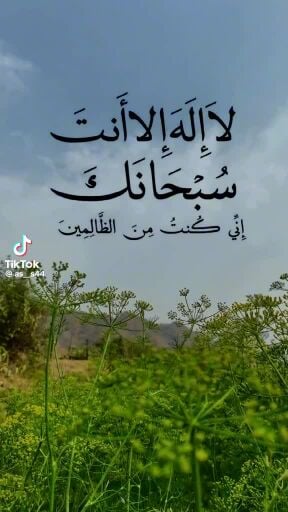 سائق خفيف خبرة 15سنه ابحث عن عمل