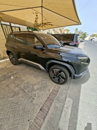 BYD LEOPARD 3