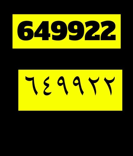 social number in. al morror