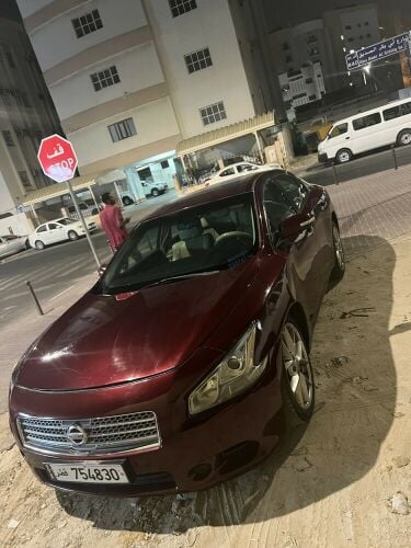 maxima for sell