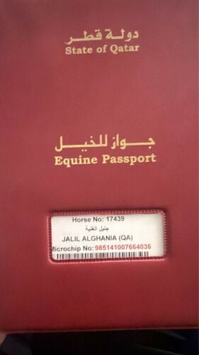 فحل حفيد مروان الشقب