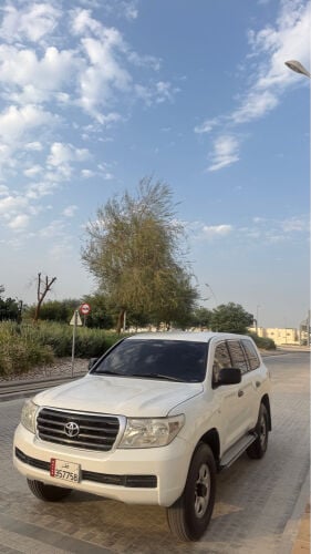 ستاندر ٢٠١١