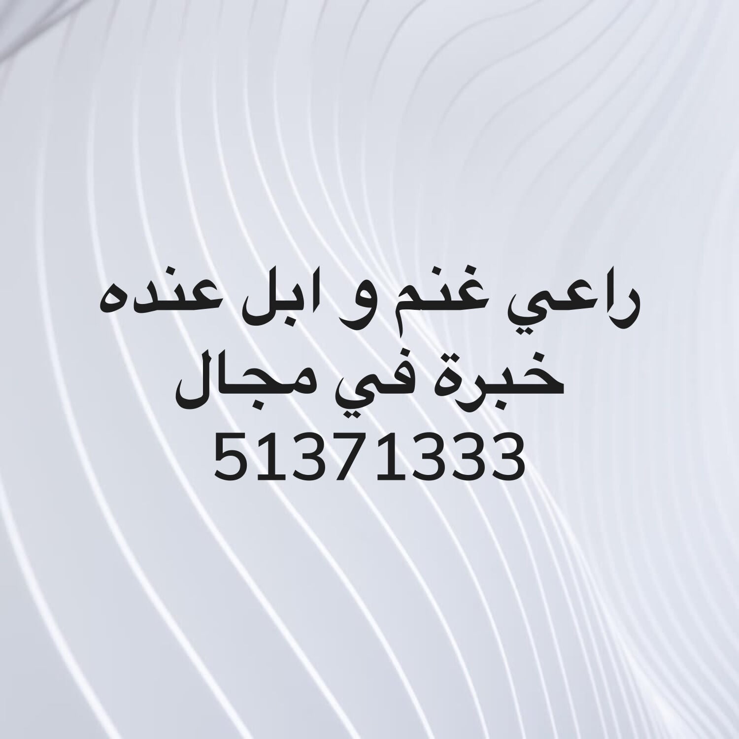 راعي 